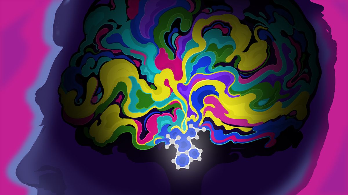 An conceptual illustration of psychedelics affect on the brain within a human head, shown as streams of different colours.