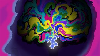 An conceptual illustration of psychedelics affect on the brain within a human head, shown as streams of different colours.