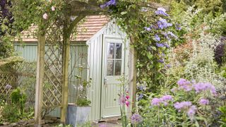 A light green, pitched roof shed in a garden with wisteria arch