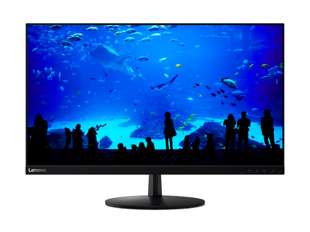The Lenovo L28U monitor.