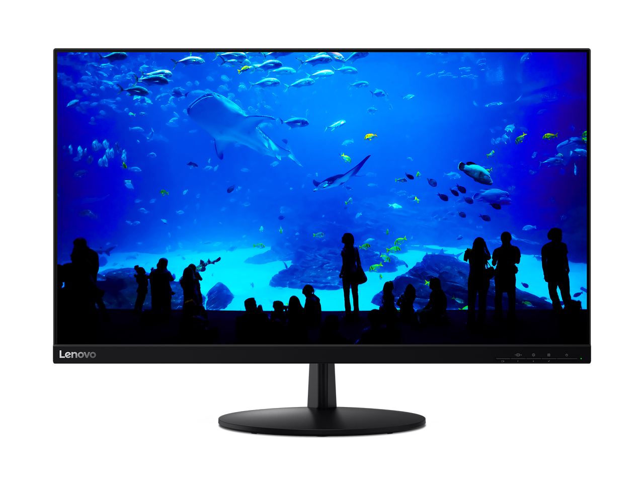 The Lenovo L28U monitor.