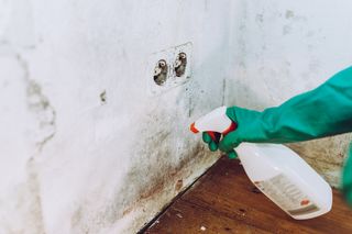 Mould is a problem faced by most homeowners
