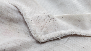 Mould on folded white fabric