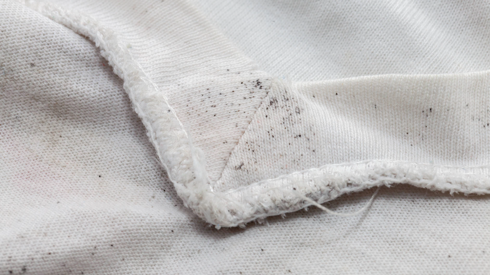 Mould on folded white fabric
