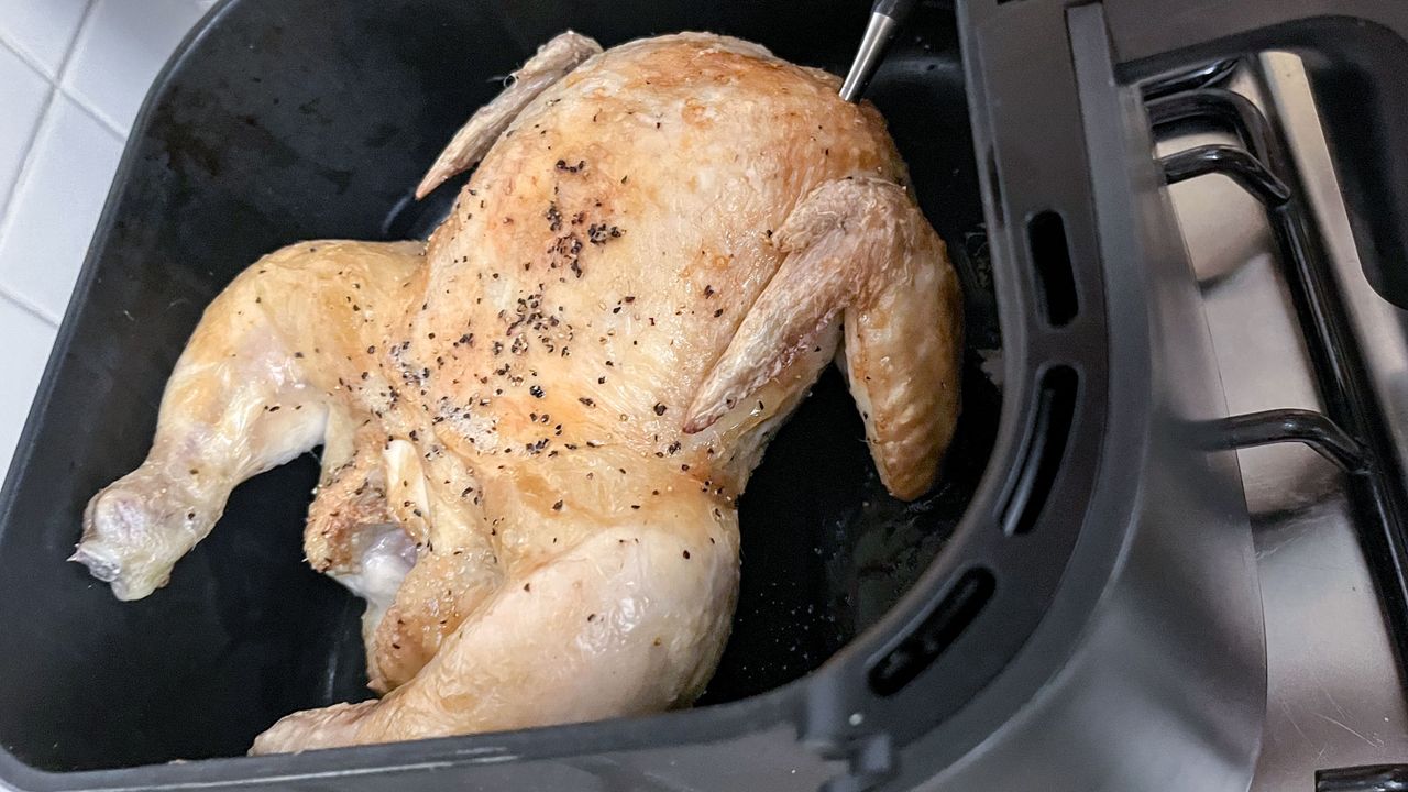 Ninja Pro Chef wireless meat thermometer