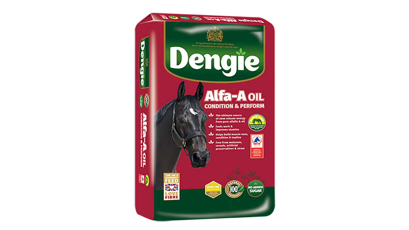 DENGIE_A-OIL_UPDATE-2021_LHS_WEB