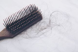 A hair brush with a hair ball.