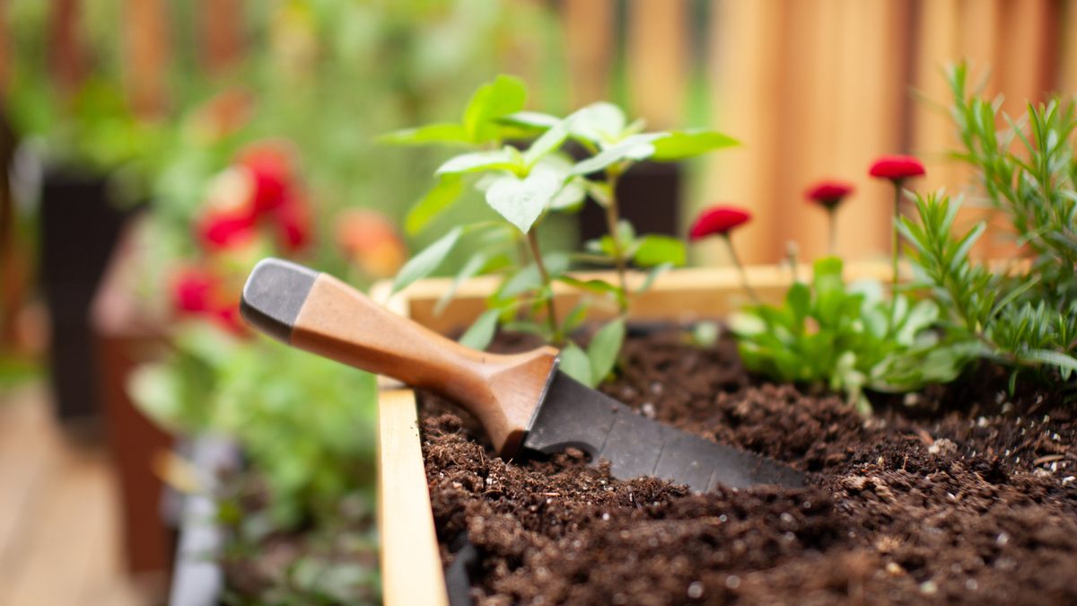 My Husband Is a Professional Gardener, and These Are the 3 Tools He Never Starts a Job Without