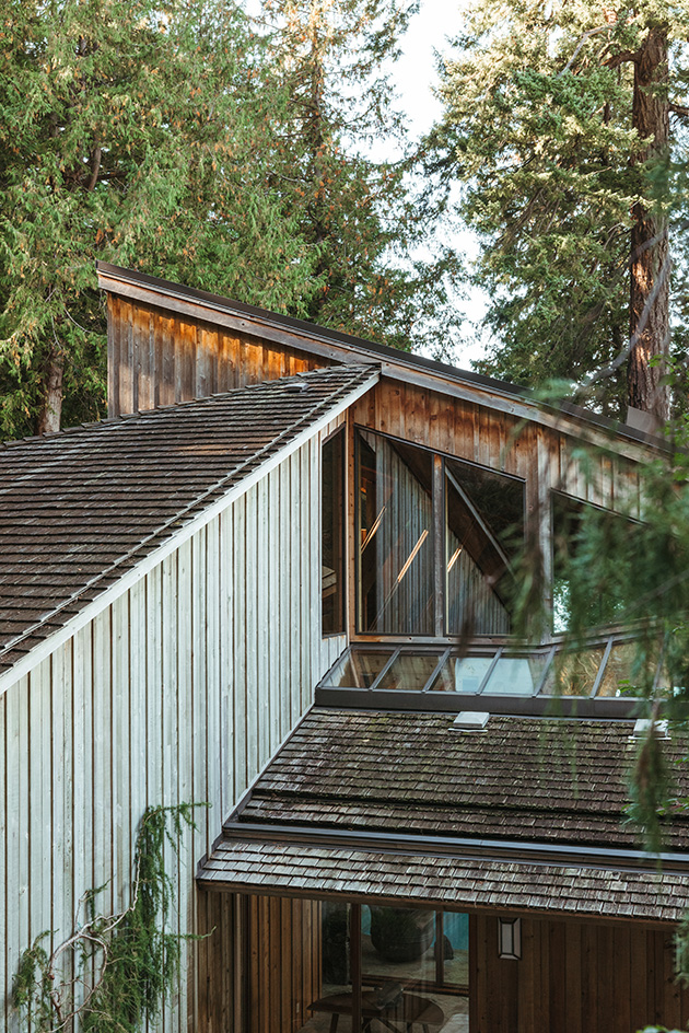 The Morse House, a modernist house in vancounver, set on a forested hill looking out towards the water