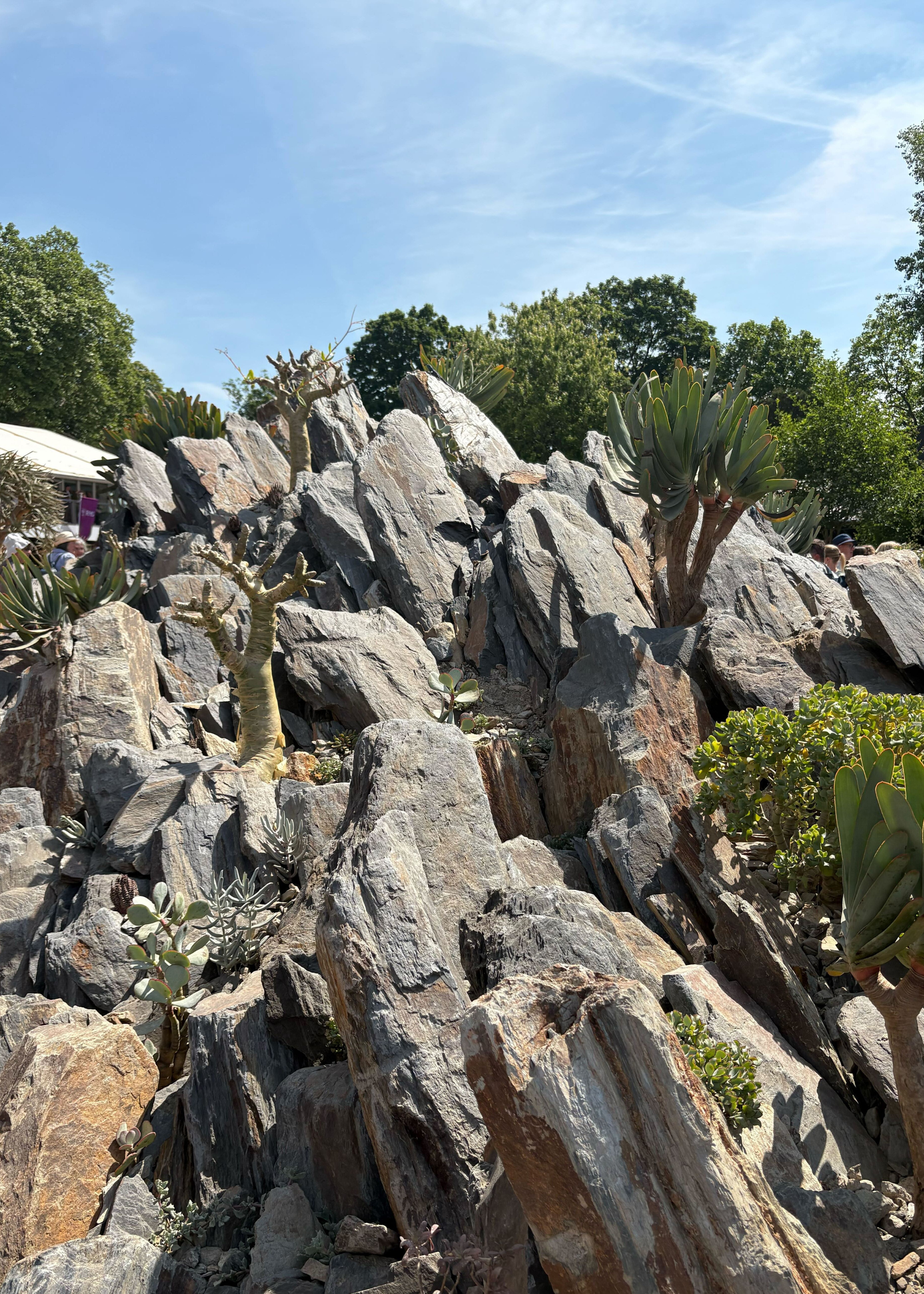 A rock garden at the Chelsea Flower Show 2025