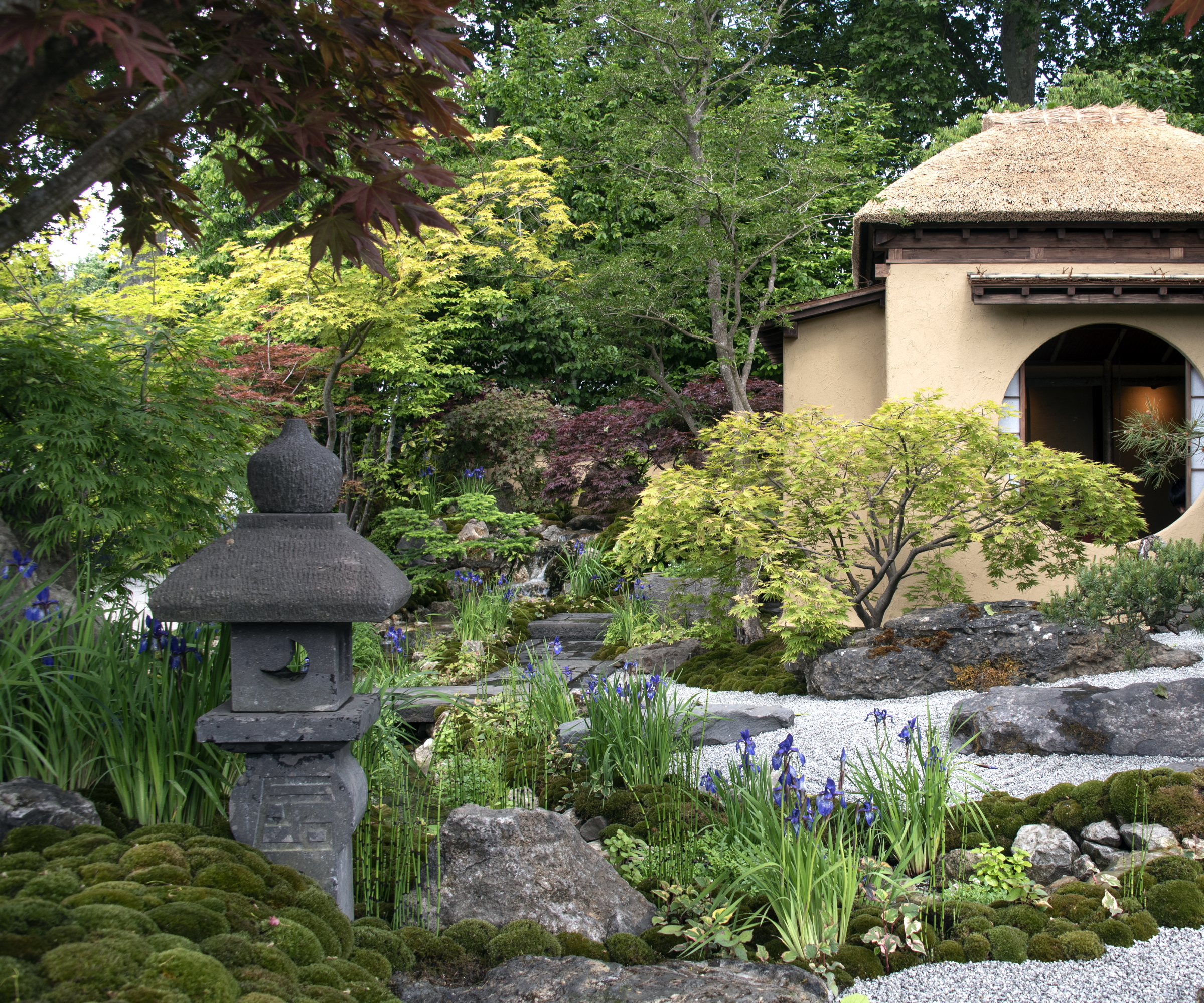 The 'Cha No Niwa &amp;ndash; Japanese Tea Garden' at the Chelsea Flower Show 2025