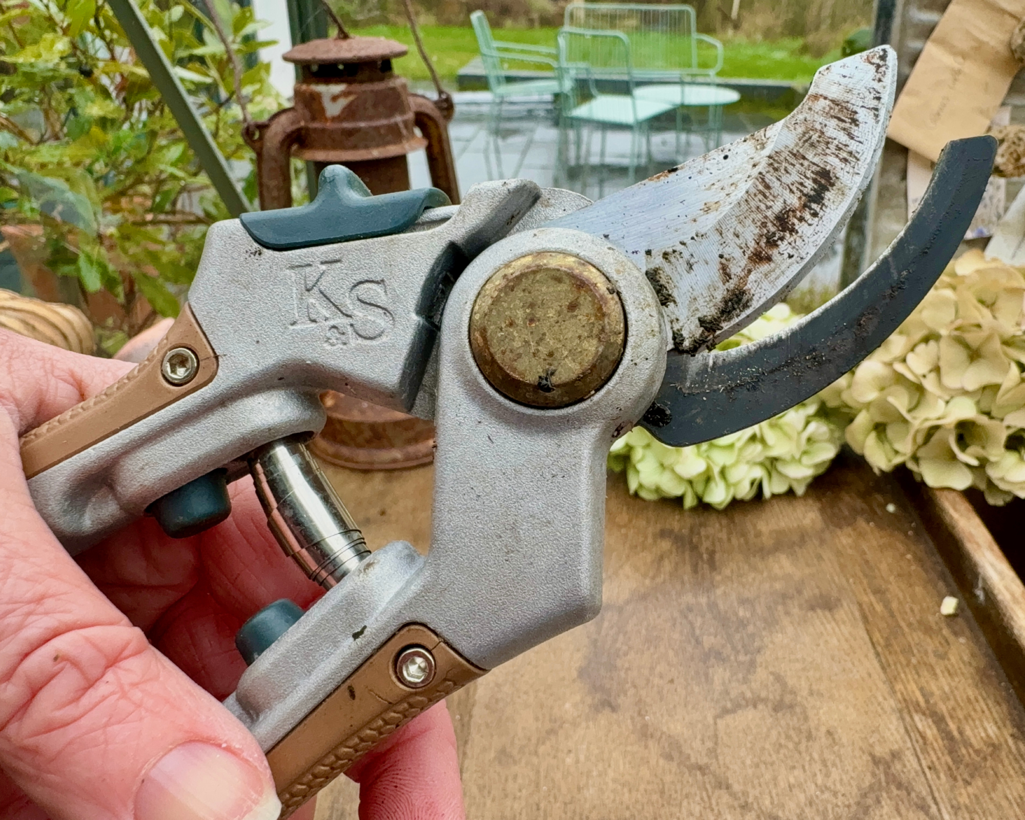 hand pruners before sharpening