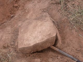 here a 1.6-foot (0.5 meter) rock found buried in hewuweltjie soils, which isn't consistent with termites creating the mounds.