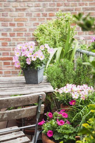 A backyard with a wooden table and pink petunia plants in a galvanized metal planter