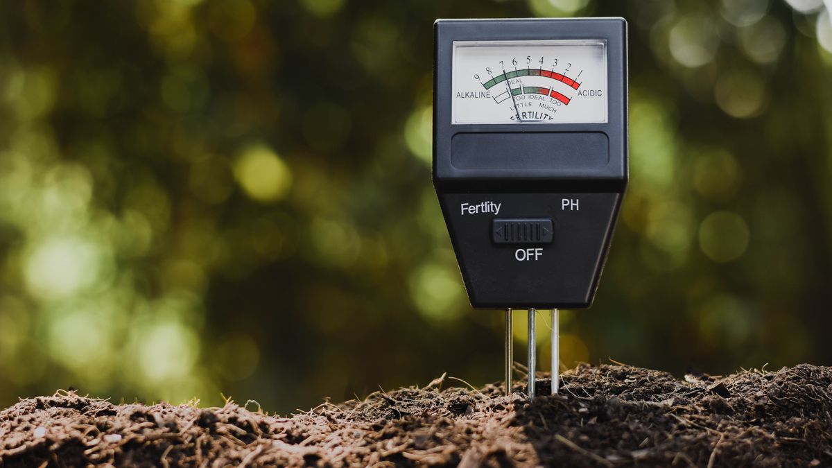 How to put lime on your lawn and when to do it Tom's Guide