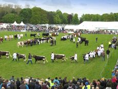 Northumberland-Show.jpg