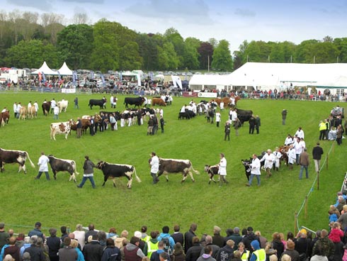 Northumberland-Show.jpg