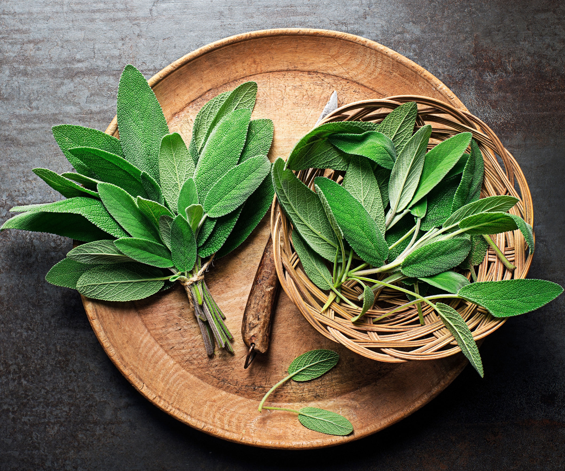 sage leaves at harvest gathered with string and sitting in a large wooden tray and basket