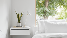 A snake plant sits on a side table in a bedroom