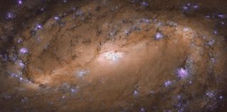 Scientists imaged the spiral galaxy NGC 2903 as part of a study to understand supermassive black holes.