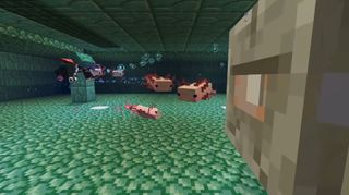 Minecraft Axolotl - axolotl's swimming around in an ocean monument