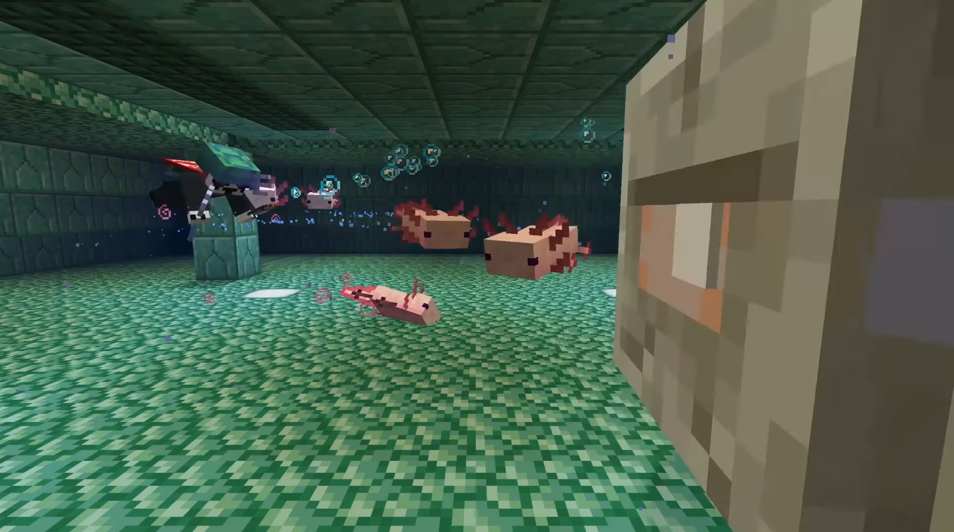 Minecraft Axolotl colors