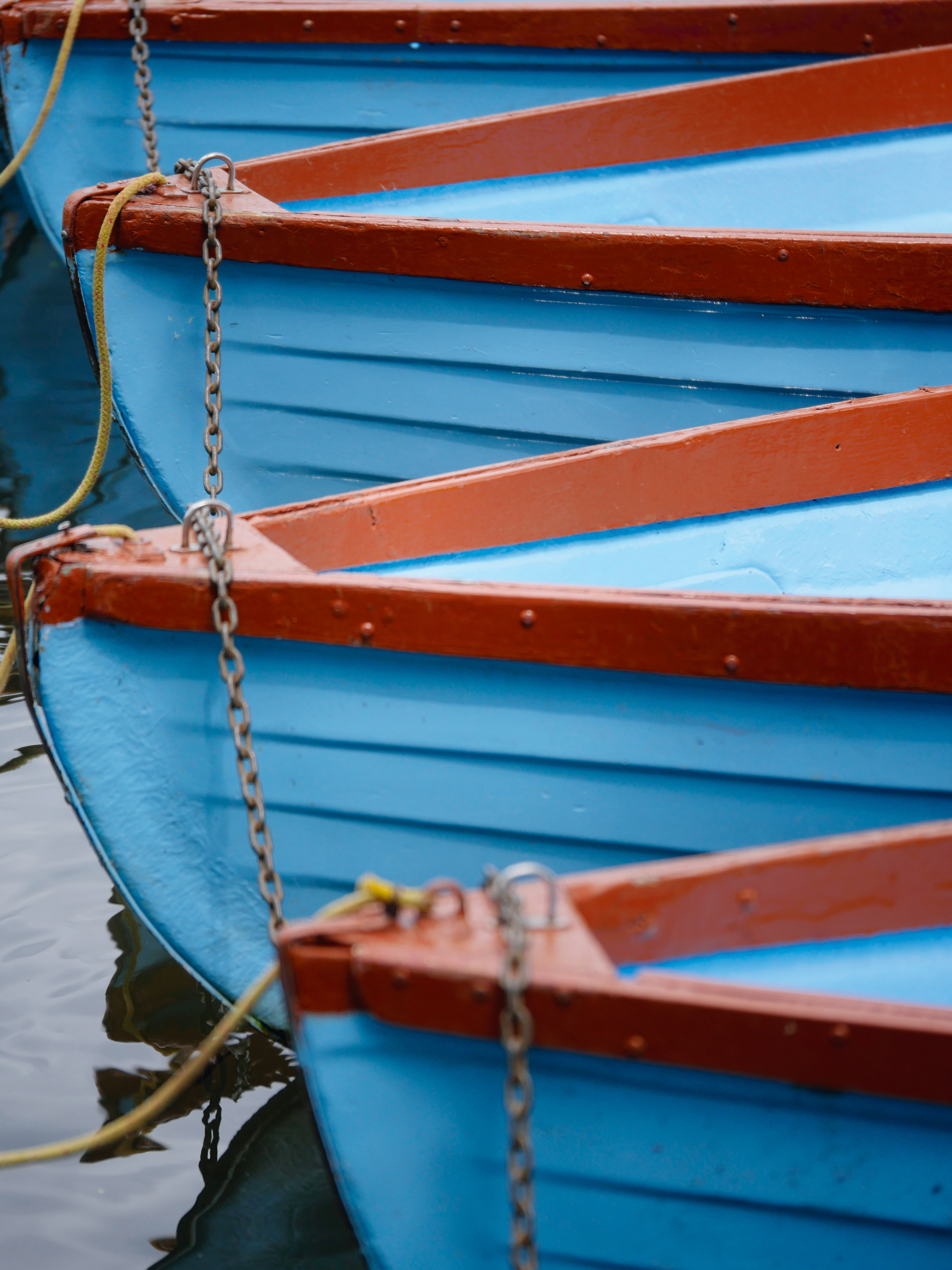 A Four Thirds type sensor is smaller than APS-C format, which can make it hard to restrict depth of field. This was shot at f/2.8, with a focal length of 100mm (200mm equivalent).