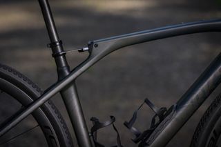 The Specialized Diverge STR stands in a forest