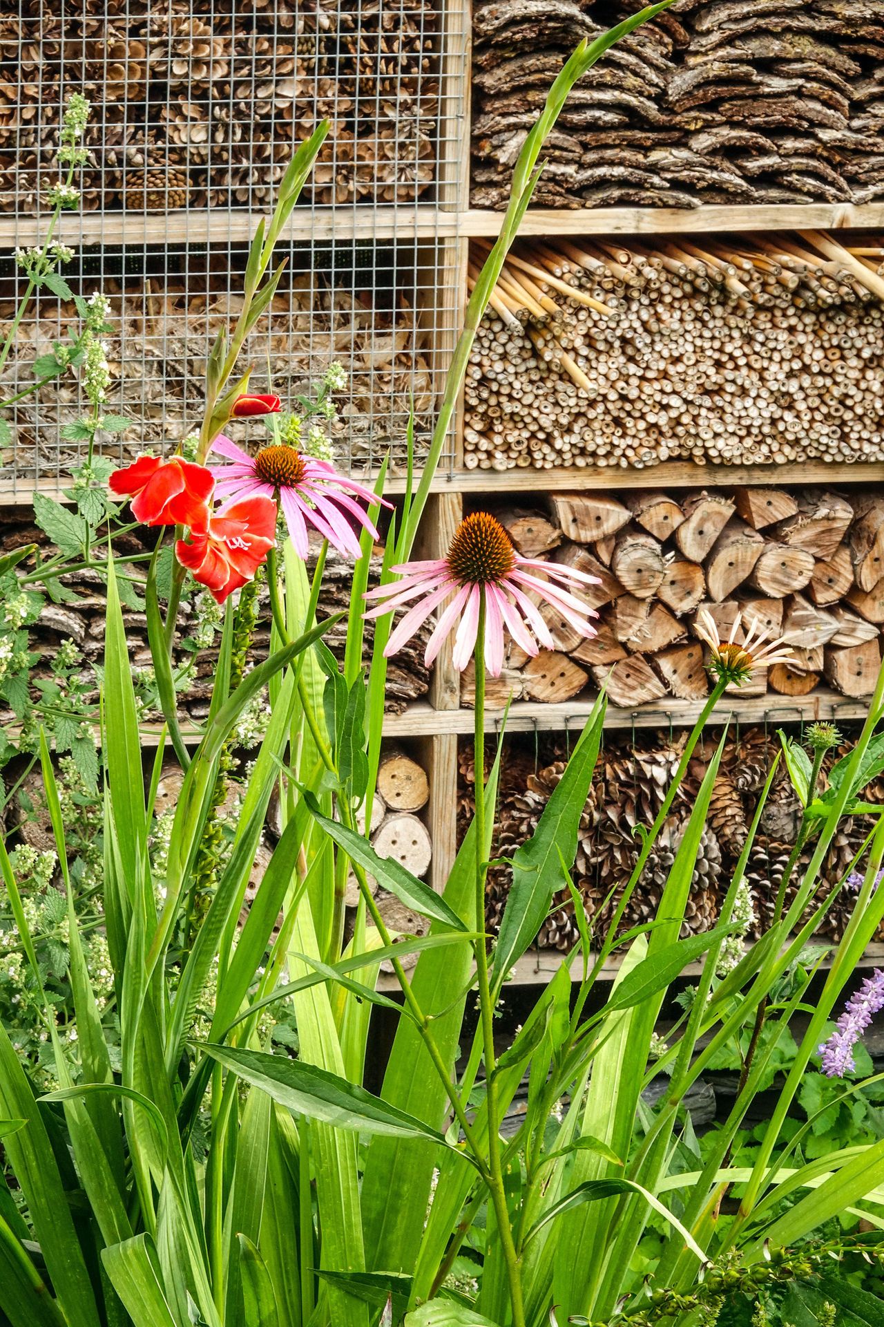 How to make a bug hotel to attract pollinators Homes & Gardens