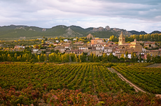 Rioja travel guide