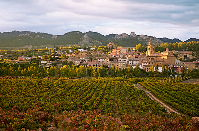 Rioja travel guide
