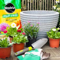Miracle-Gro compost in garden 