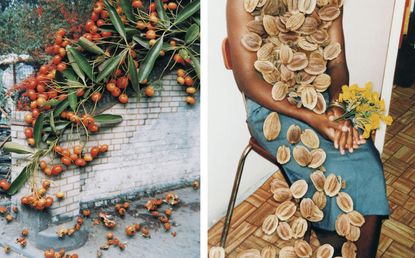 Tomatoes on left, person covered in items on right