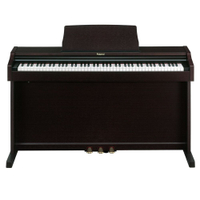 Roland RP501R