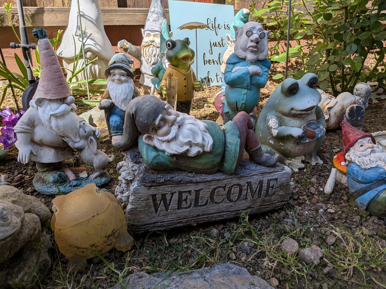 A Google Pixel 9a camera sample showing a huge gathering of gnomes and frogs in a garden.