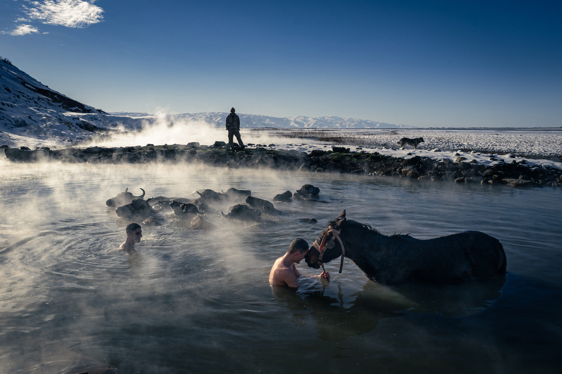 Two people are interacting with a horse in a steamy river surrounded by snow-covered mountains on a clear, sunny day