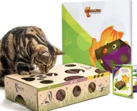 Cat Amazing Interactive Treat Maze &amp; Puzzle Cat Toy