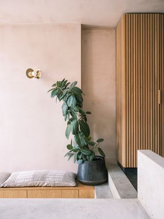 plaster walls and built-in seating and plant