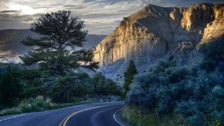 A road in Yellowstone at dusk