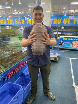 Dr. Nguyen Thanh Son holding a giant specimen of another species of giant isopod.