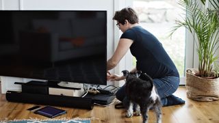 Dog observes owner setting up TV