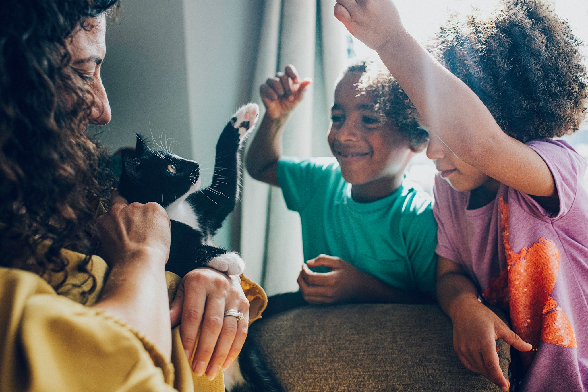 Pets at home store kids