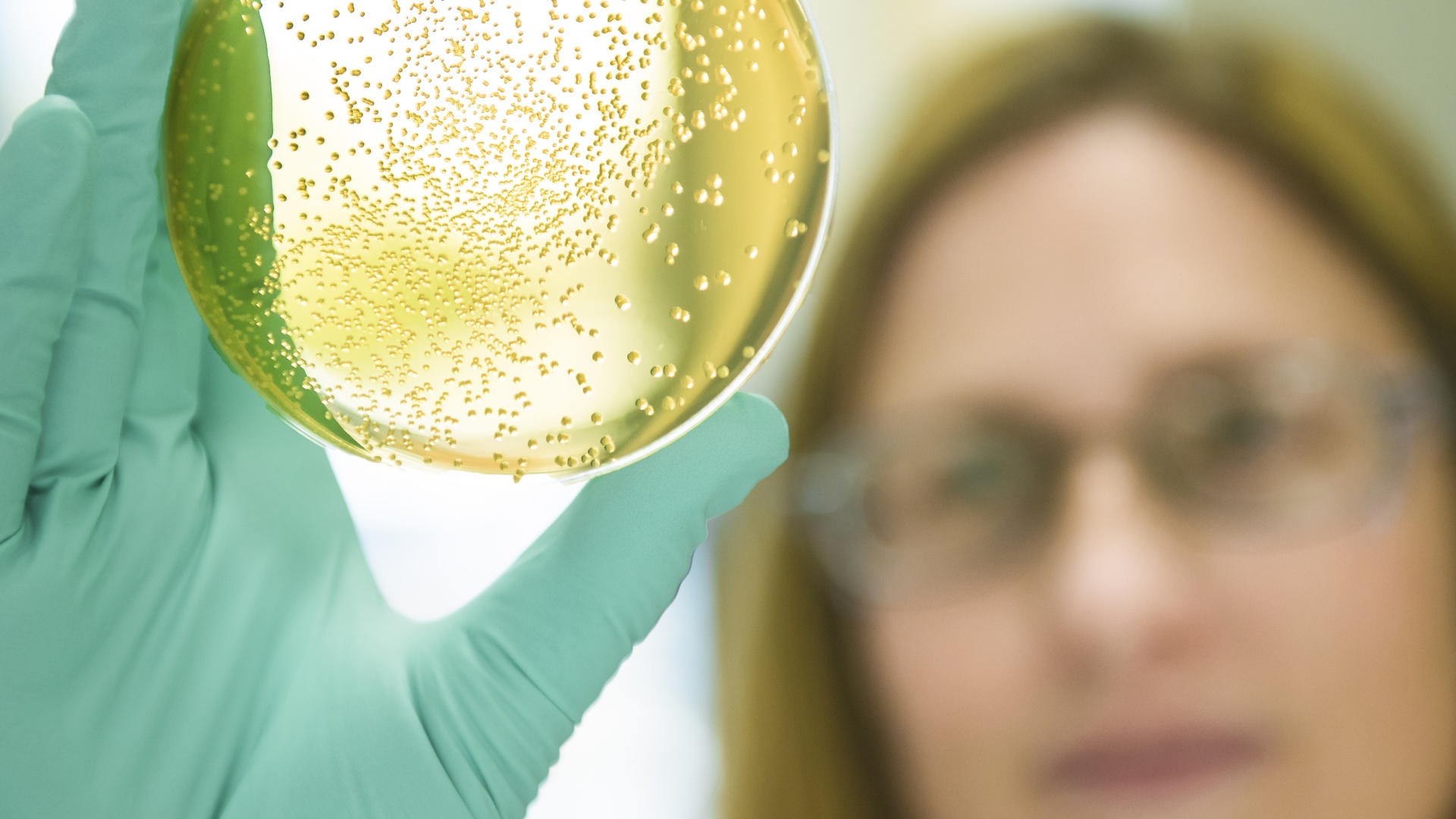 Gilead scientist engaging in research activity in laboratory