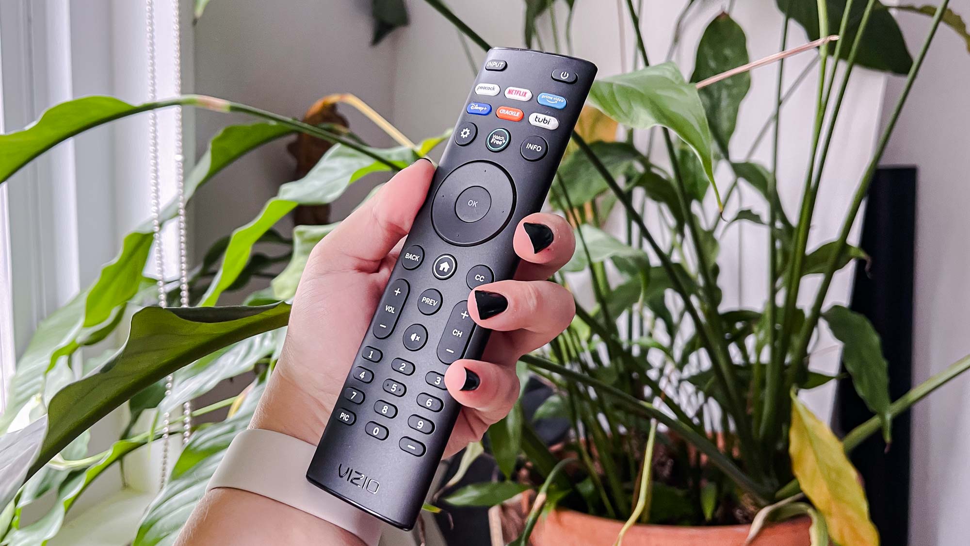 Vizio D-Series remote