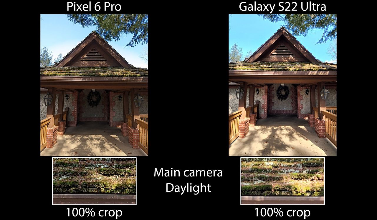 Galaxy S22 Ultra Vs Pixel 6 Pro Main Camera