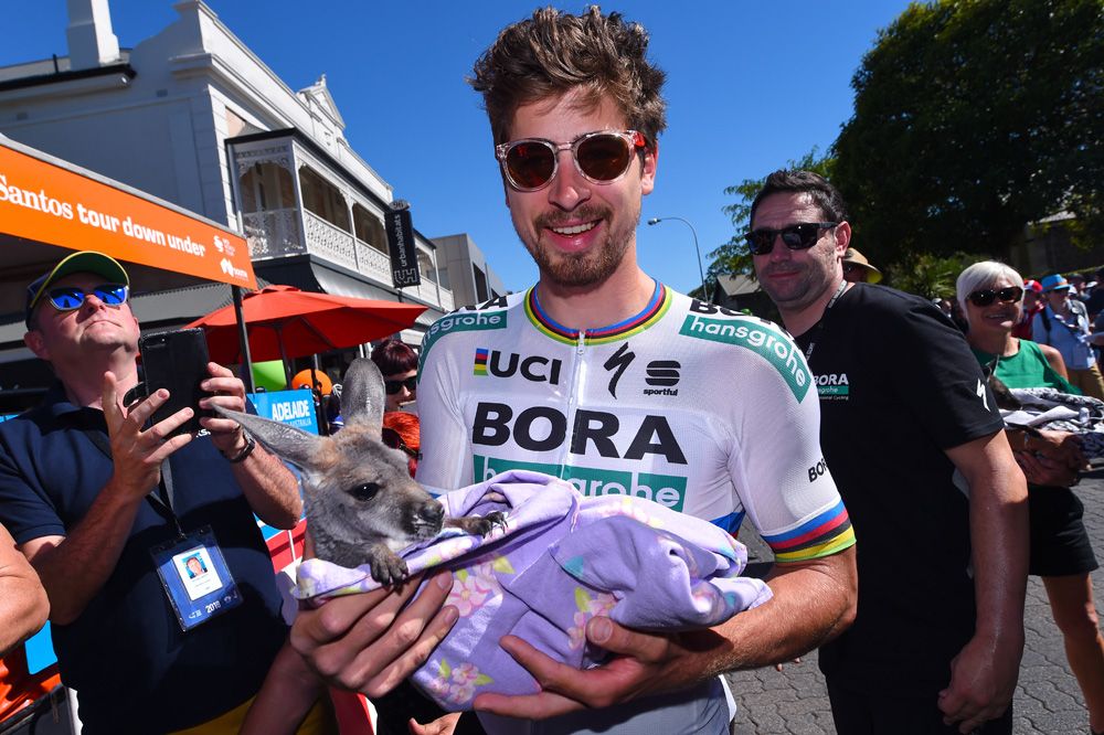 Peter Sagan with a baby kangaroo