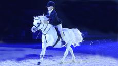 HorseNo930_HOYS13pn20421.jpg