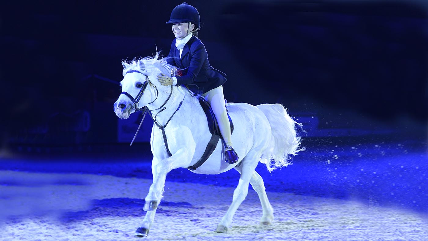 HorseNo930_HOYS13pn20421.jpg