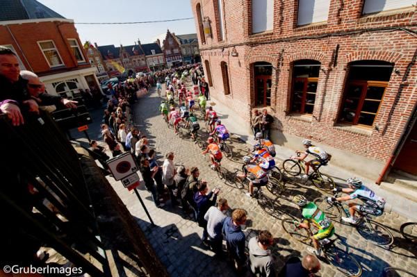 Room with a view: The peloton head towards the finish in Wevelgem