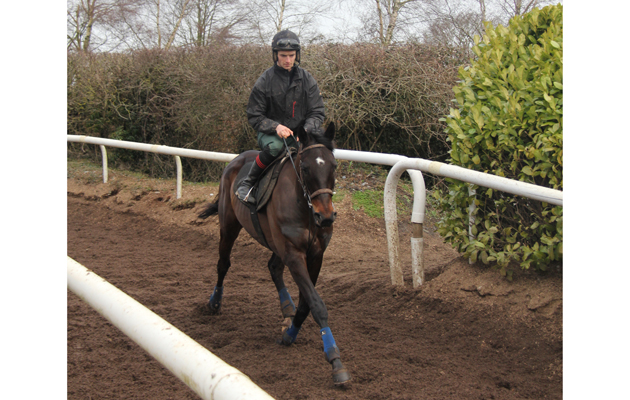 8 Patrick Mullins